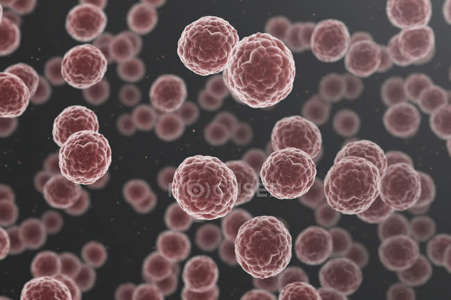 Червоний ракові клітини, цифрова ілюстрація. — стокове фото
