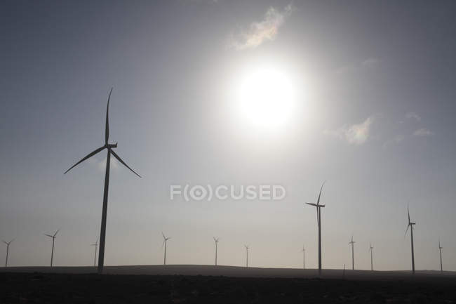 Turbinas en el parque eólico cerca de Vredendal, Western Cape, Sudáfrica . - foto de stock
