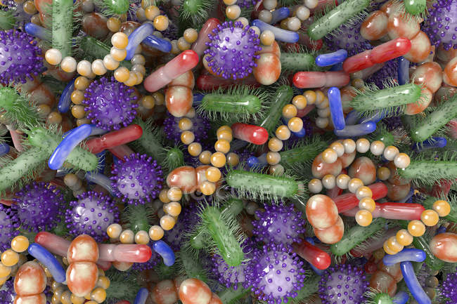 Ilustración conceptual de microbios del microbioma humano, marco completo
. - foto de stock