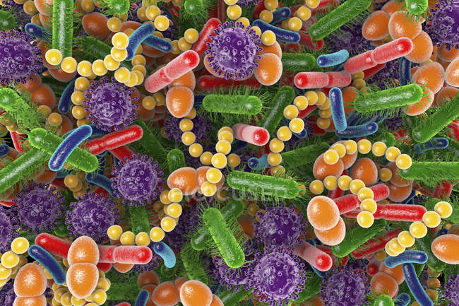 Illustrazione concettuale dei microbi del microbioma umano, quadro completo
. — Foto stock
