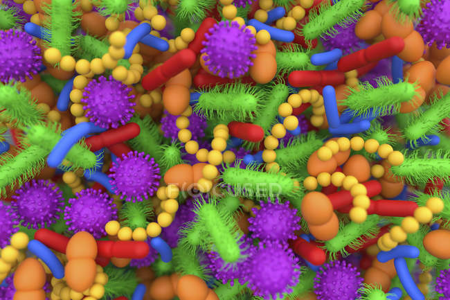 Illustrazione concettuale dei microbi del microbioma umano, quadro completo
. — Foto stock