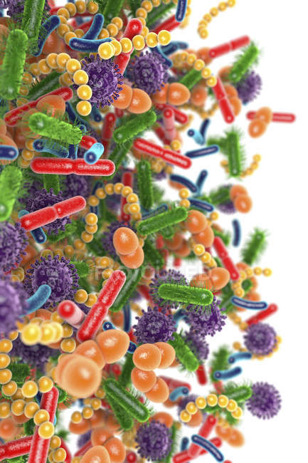 Ilustración conceptual de microbios del microbioma humano sobre fondo blanco . - foto de stock