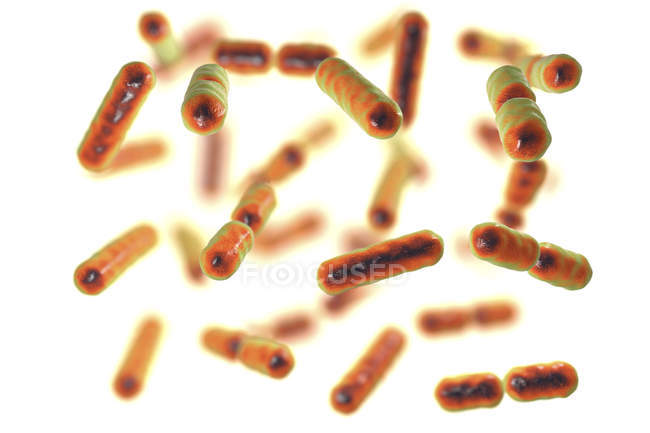 Ilustración digital de bacterias sacarolíticas anaeróbicas
. - foto de stock