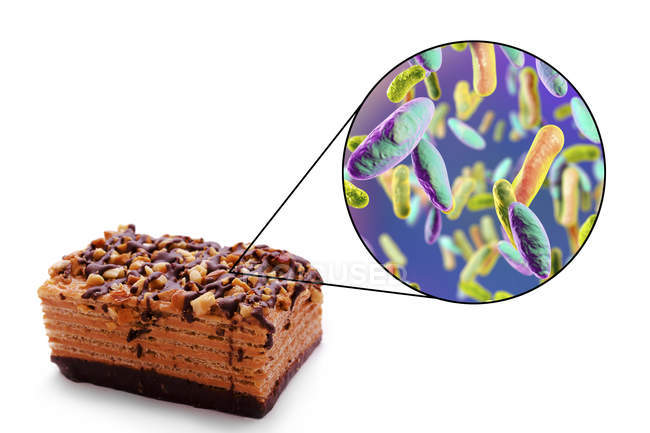 Ilustración conceptual del trozo de pastel y aumento de las bacterias de la infección transmitida por los alimentos sobre fondo blanco
. - foto de stock