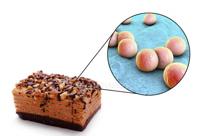 Piece of cake with close-up of Staphylococcus bacteria, food poisoning conceptual illustration. — Stock Photo