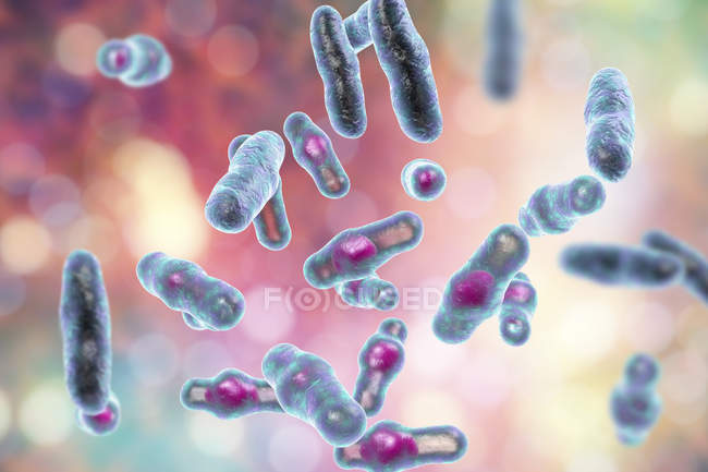 Цифровой рисунок Clostridium perfringens грамположительные стержневидные бактерии
. — стоковое фото