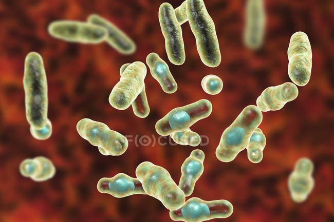 Digital artwork of Clostridium perfringens Gram-positive rod-shaped bacteria. — Stock Photo