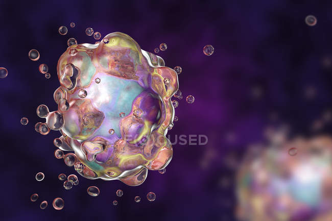 Ilustración digital de la célula en la etapa temprana de la muerte celular programada
. - foto de stock