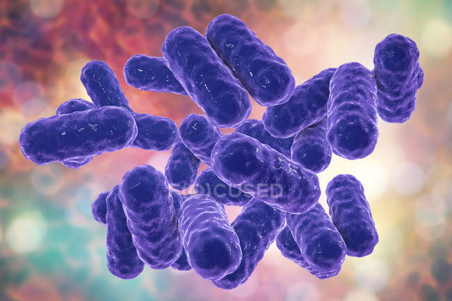 Ilustración digital de bacilos gramnegativos de Enterobacter
. - foto de stock