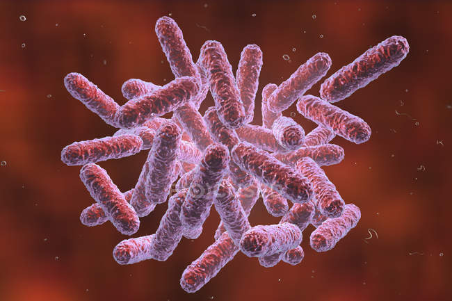 Ilustración digital de Enterobacteriaceae Bacterias gramnegativas en forma de barra
. - foto de stock