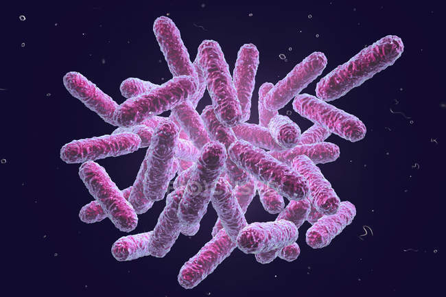 Цифровий ілюстрація родини Enterobacteriaceae грам-негативних паличковидні бактерії. — стокове фото