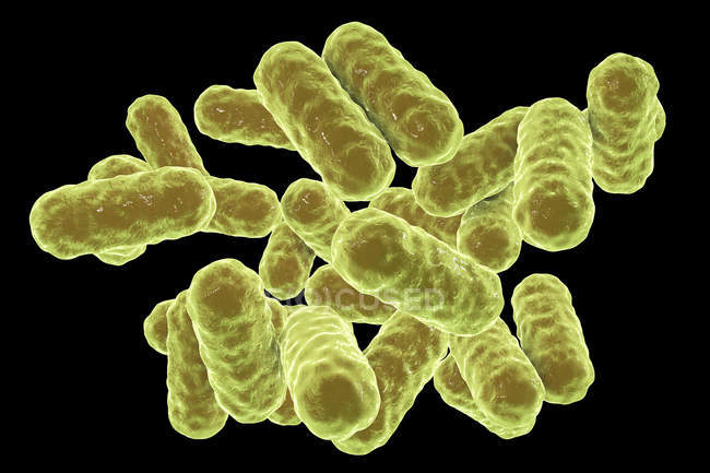 Digitale Darstellung von Enterobacter gram-negativen Bazillen auf schwarzem Hintergrund. — Stockfoto