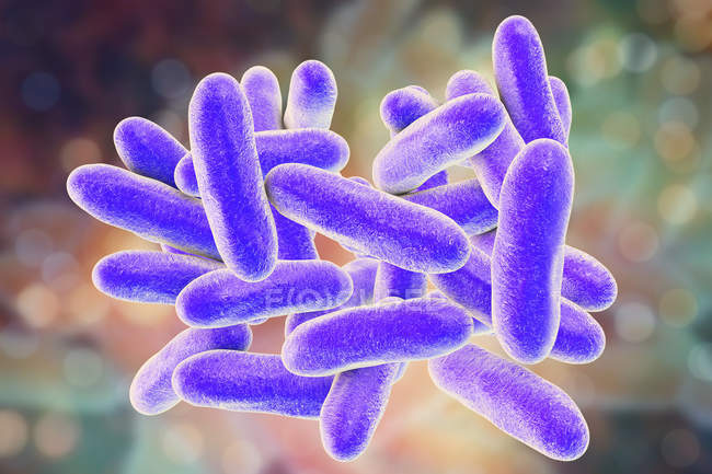 Цифровий ілюстрація легионелла pneumophila бактерій, що викликають хвороба легіонерів. — стокове фото