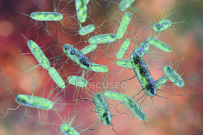 Illustration numérique de Salmonella Gram négatif en forme de tige bactérienne avec flagelles
. — Photo de stock