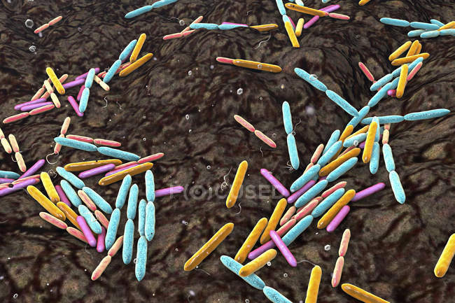 Bacterias del suelo en forma de varilla multicolor, ilustración conceptual
. - foto de stock