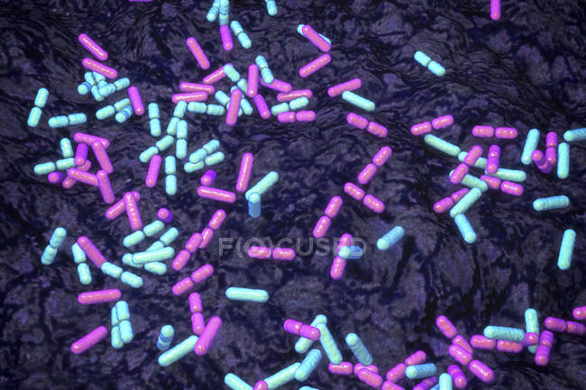 Bacterias del suelo en forma de varilla multicolor, ilustración conceptual . - foto de stock