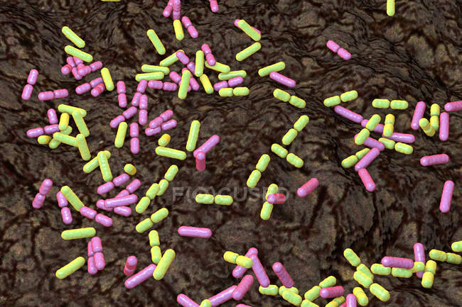 Mehrfarbige stäbchenförmige Bodenbakterien, konzeptionelle Illustration. — Stockfoto