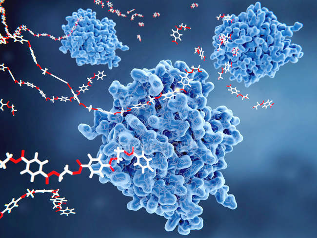 Enzimas azul PETase quebrando o tereftalato de polietileno em moléculas monoméricas
. — Fotografia de Stock