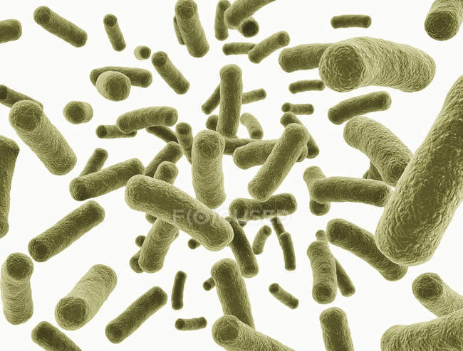 Bacterias de coli verde sobre fondo liso, ilustración digital . - foto de stock