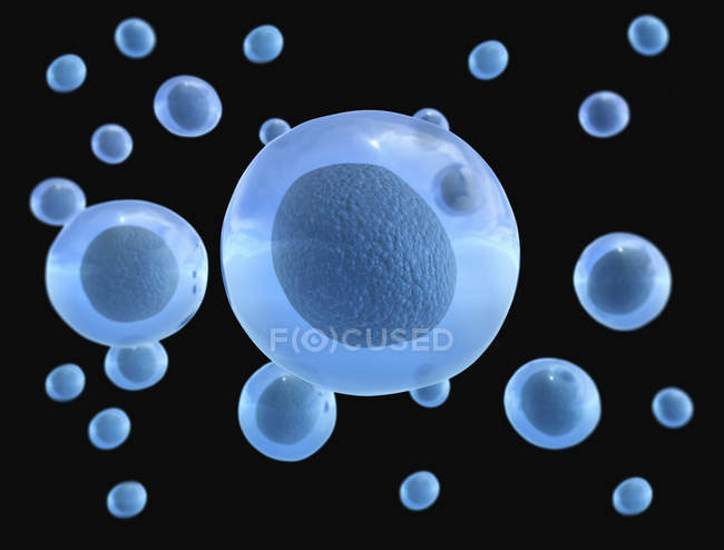 Digital artwork of round blue cells on black background. — Stock Photo