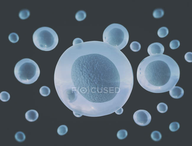 Obra de arte digital de celdas azules redondas sobre fondo liso
. - foto de stock