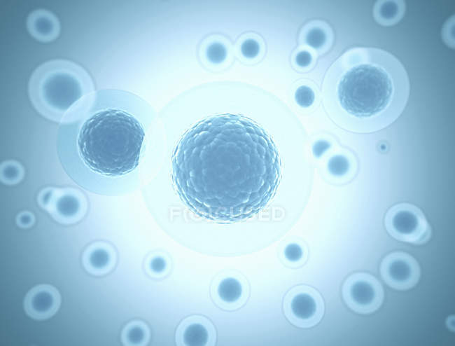 Obra de arte digital de celdas azules redondas sobre fondo liso
. - foto de stock