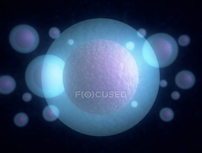 Digital artwork of round transparent cells on plain background. — Stock Photo