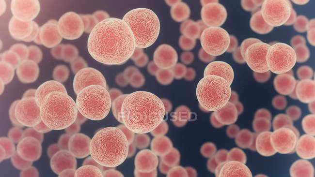 Round red cells on plain background, digital illustration. — Stock Photo