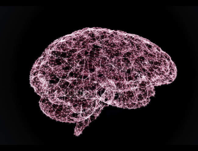 Cerebro humano con conexiones que muestran actividad, ilustración conceptual
. - foto de stock