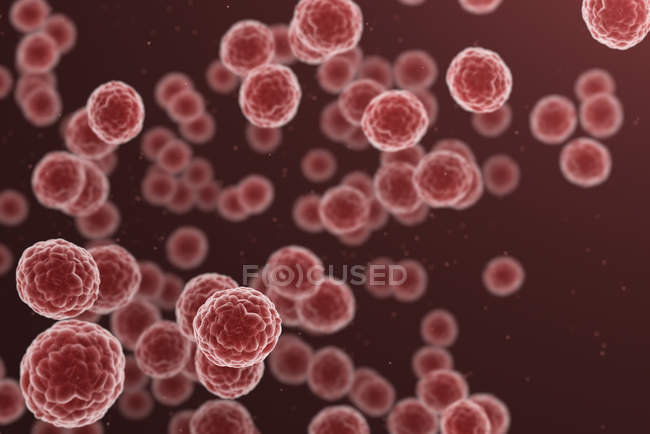 Круглые красные клетки на обычном фоне, цифровая иллюстрация
. — стоковое фото