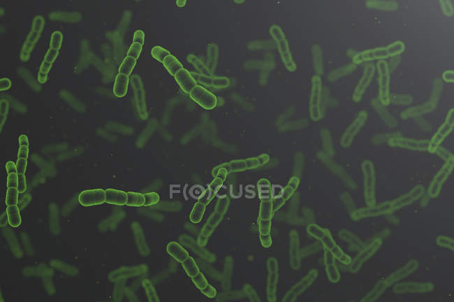 Grüne Coli-Bakterien auf blankem Hintergrund, digitale Illustration. — Stockfoto