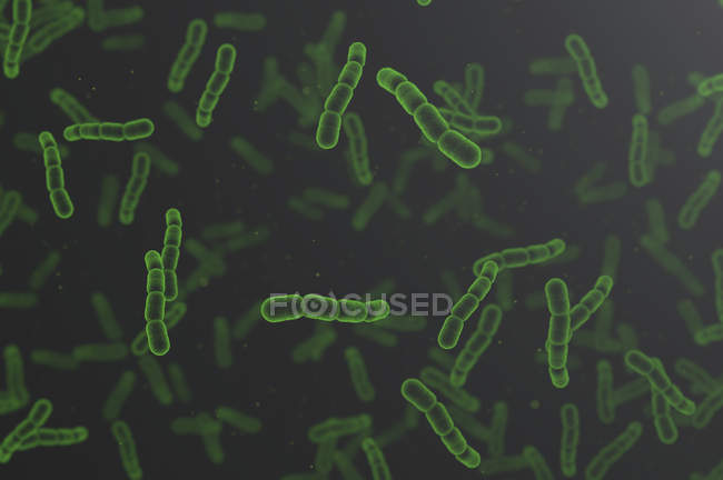 Green coli bacteria on plain background, digital illustration. — Stock Photo