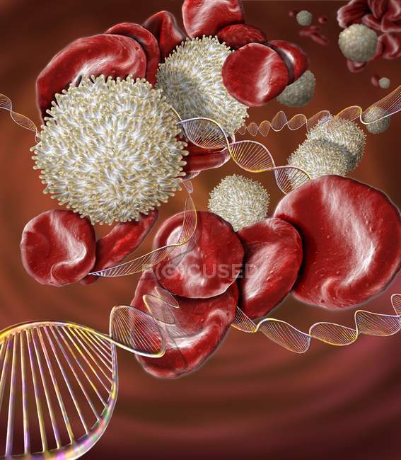 Scanning electron microscopy of DNA molecules and red and white blood cells. — Stock Photo