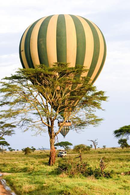 Safári de balão de ar quente no Parque Nacional Serengeti, na Tanzânia . — Fotografia de Stock