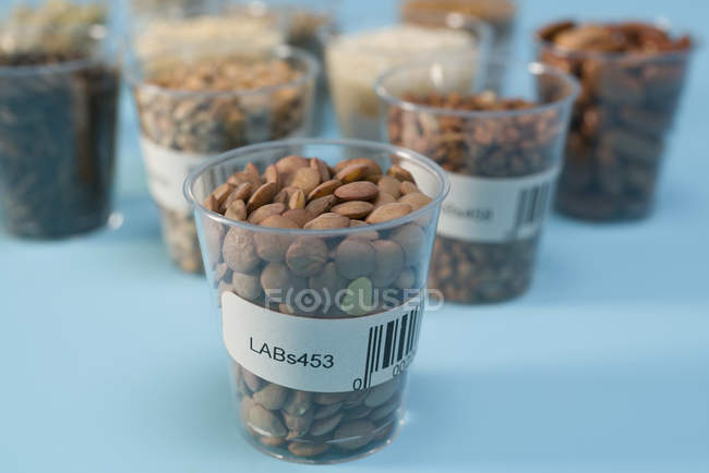 Grains et légumineuses dans des gobelets en plastique pour la recherche agricole, image conceptuelle . — Photo de stock