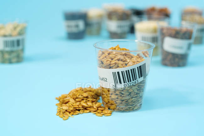Grains dans une tasse en plastique pour la recherche agricole, image conceptuelle . — Photo de stock