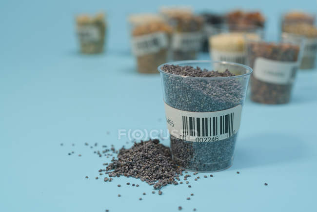 Graines de pavot dans une tasse en plastique pour la recherche agricole, image conceptuelle . — Photo de stock