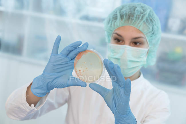 Cientista feminina examinando o crescimento microbiano na placa de Petri
. — Fotografia de Stock