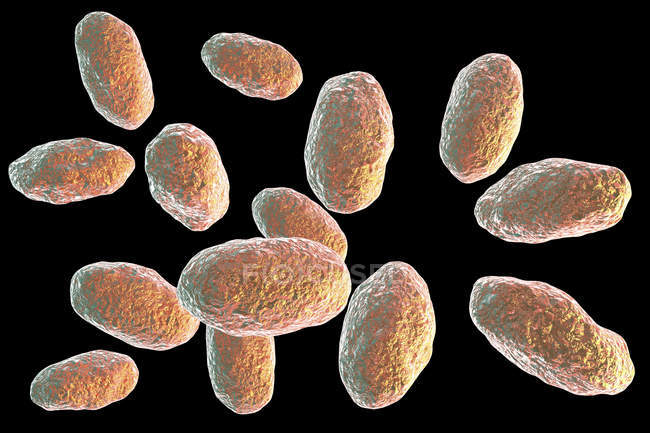 Arte digital de bactérias Yersinia enterocolitica coloridas em forma de bastonete . — Fotografia de Stock