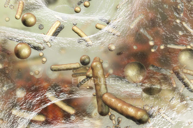 Bactérias esféricas e em forma de bastonete dentro do biofilme, ilustração digital . — Fotografia de Stock
