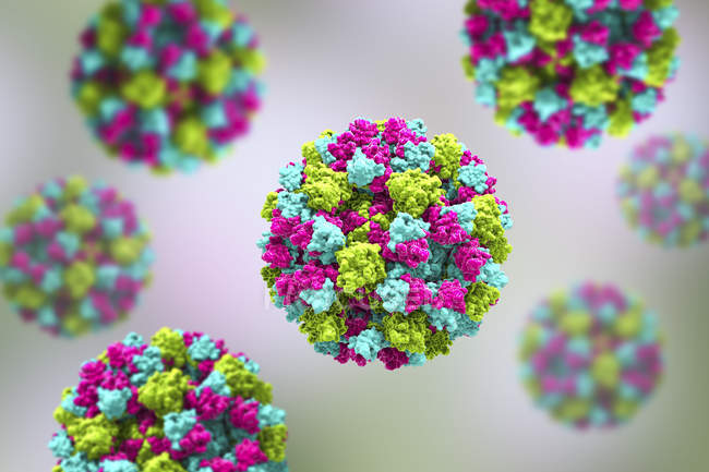 Particules de norovirus colorées, illustration numérique
. — Photo de stock