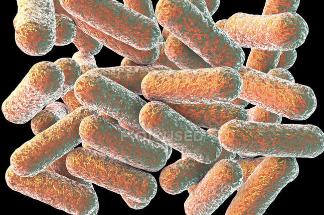 Bactéries Morganella en forme de tige colorée, illustration numérique
. — Photo de stock