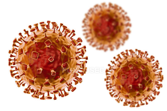 Nipah virus particles, digital artwork. — Stock Photo