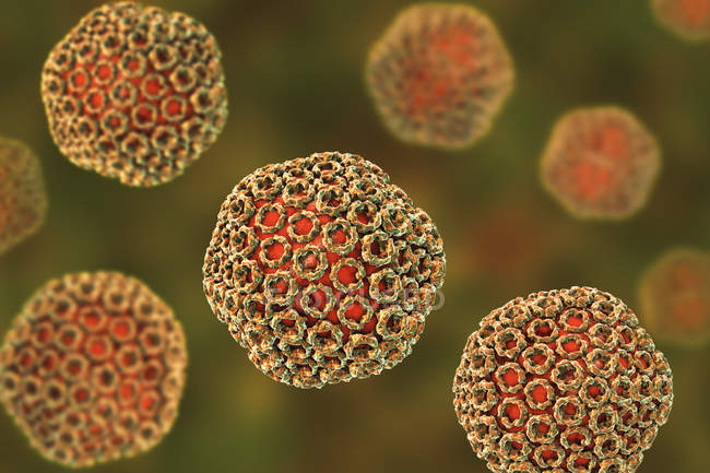 Particules du virus de la fièvre de la vallée du Rift, illustration numérique . — Photo de stock