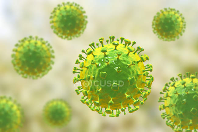 Partículas del virus Nipah, ilustraciones digitales . - foto de stock