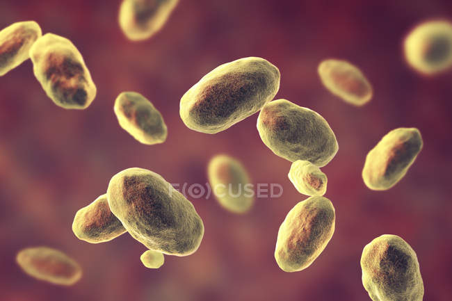 Obra digital de bacterias Yersinia enterocolitica en forma de varilla de colores . - foto de stock