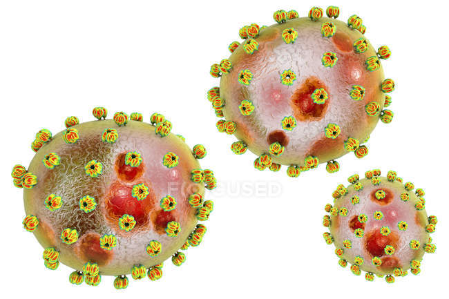 Partículas do vírus Lassa, ilustração digital
. — Fotografia de Stock