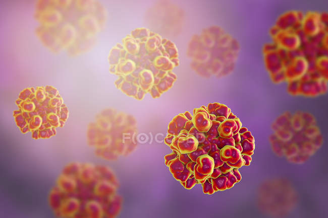 Particules rouges du virus de l'hépatite E avec couche protéique
. — Photo de stock