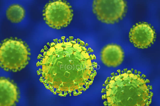 Partículas del virus Nipah, ilustraciones digitales
. - foto de stock