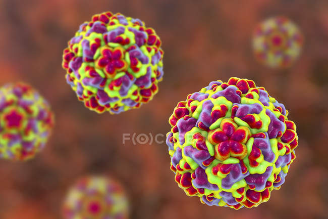 Цветные частицы риновируса, цифровая иллюстрация
. — стоковое фото